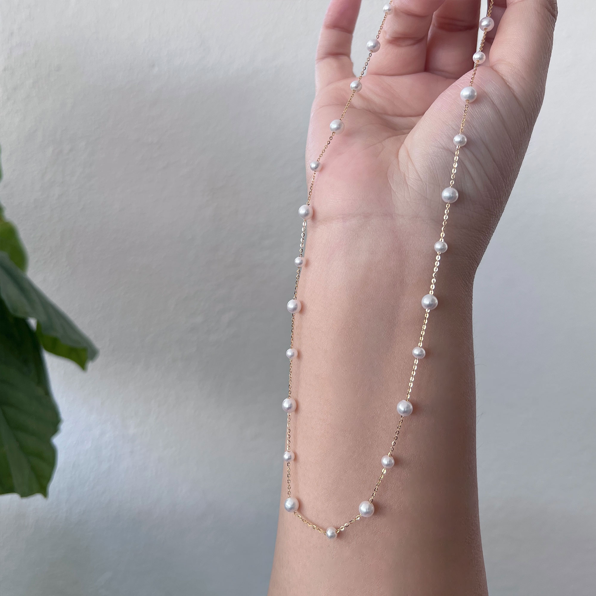 starry-new-5