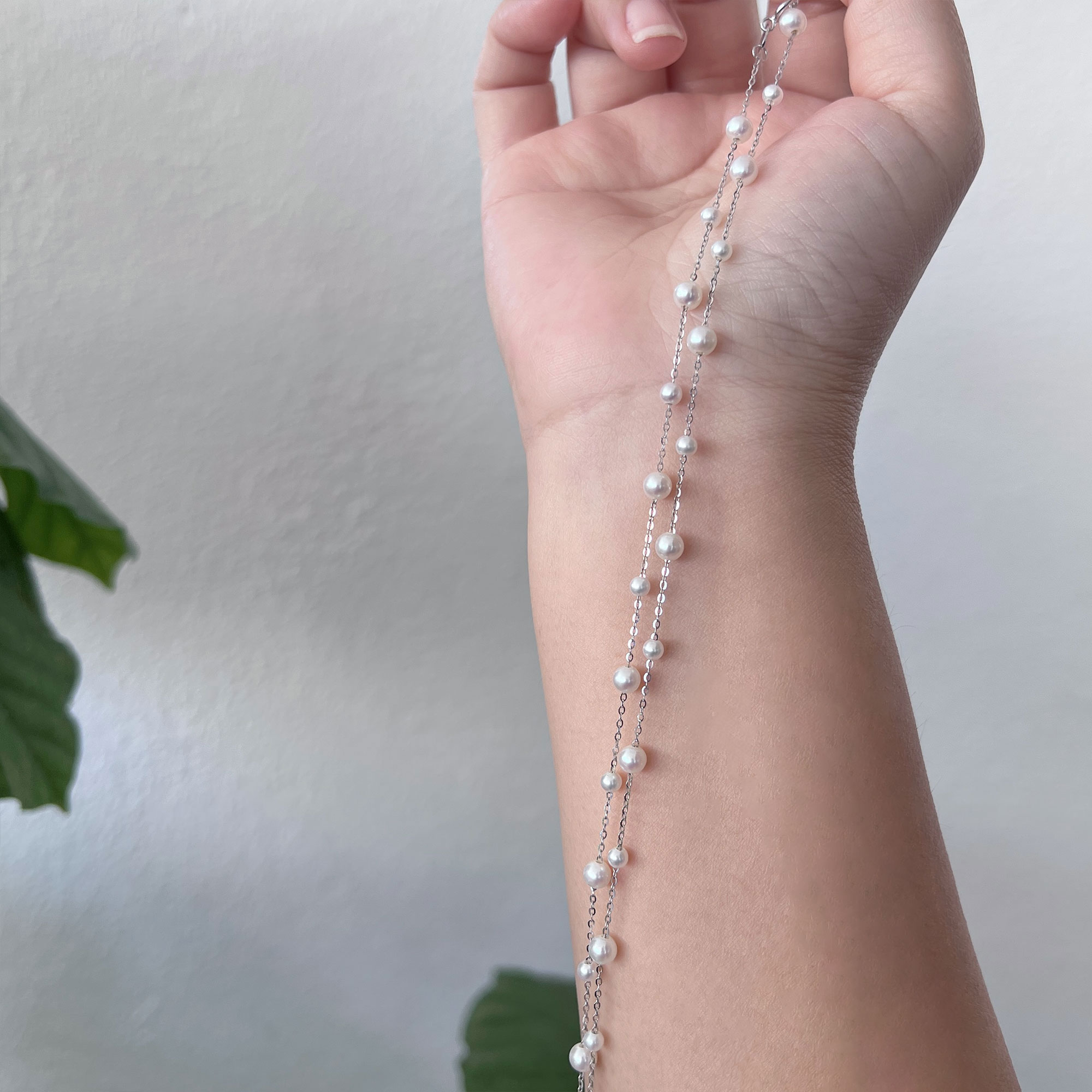 starry-new-8